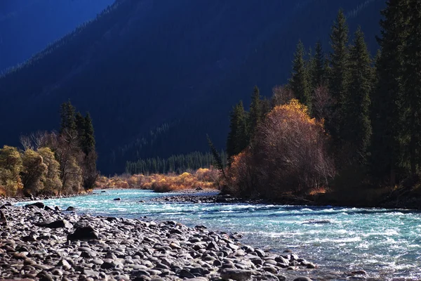 Otoño río de montaña — Foto de Stock