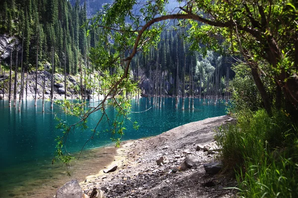 Lluvia a la luz del sol en un lago de montaña — Foto de Stock