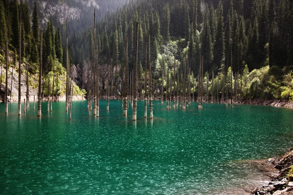 stock image Rain in sunlight on a mountain lake