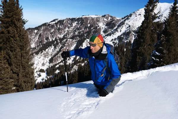 Backpacker vai fundo na neve — Fotografia de Stock