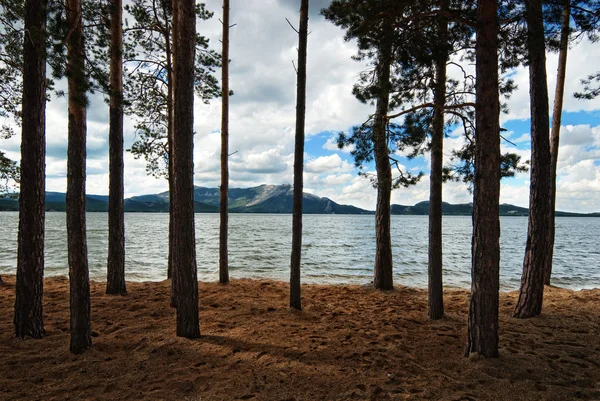 Floresta ao lado do lago Borovoe, Cazaquistão — Fotografia de Stock