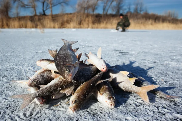 Winter visserij — Stockfoto