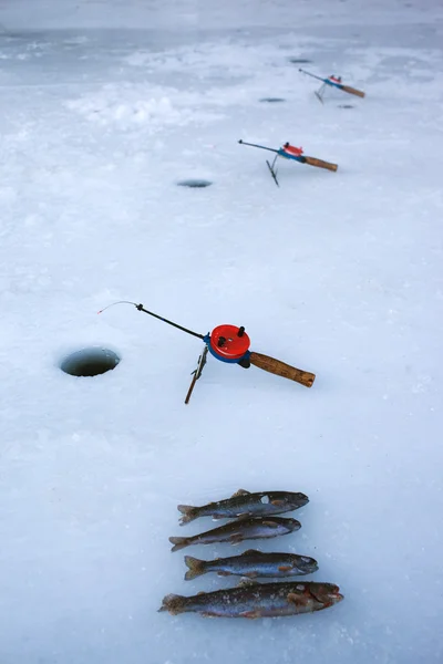 Delik Buz Üstünde Balık Küçük Kış Balıkçılık Çubuklar — Stok fotoğraf