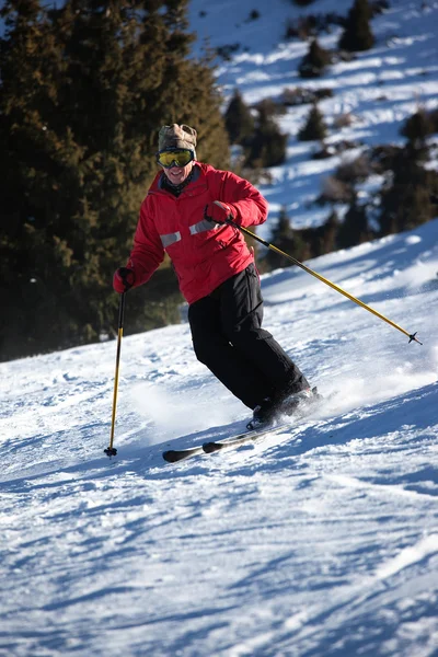 山スキー — ストック写真
