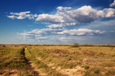 Steppe landscape clipart