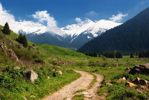 Деревенская Дорога Весенних Горах — стоковое фото
