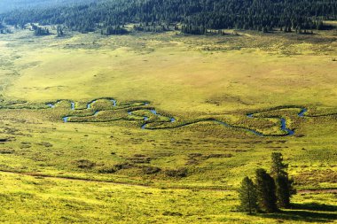 kavisli küçük nehir üzerinde çayır Altay Dağları, Kazakistan