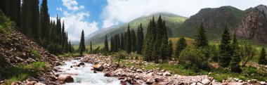 Panorama of a mountain river