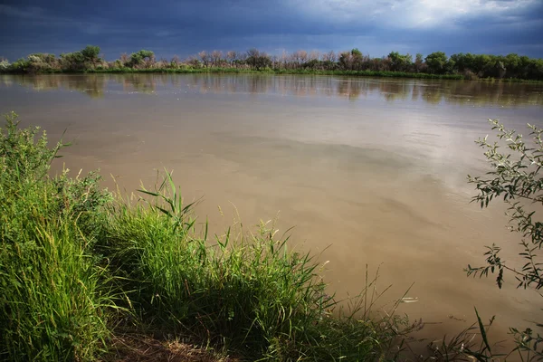 Öknen floden efter storm — Stockfoto