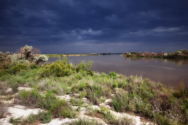 Desert river after storm — Stock Photo, Image