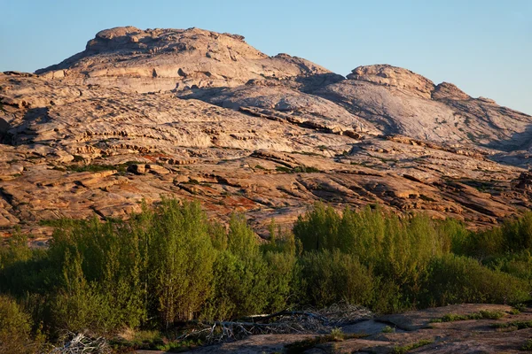 Oásis verde nas montanhas do deserto — Fotografia de Stock