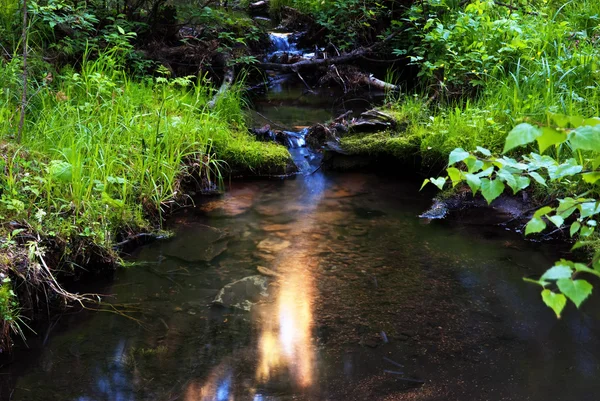 Reflection of the sun in a brook — Stock Photo, Image