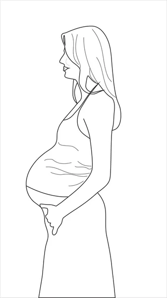 La chica embarazada — Vector de stock