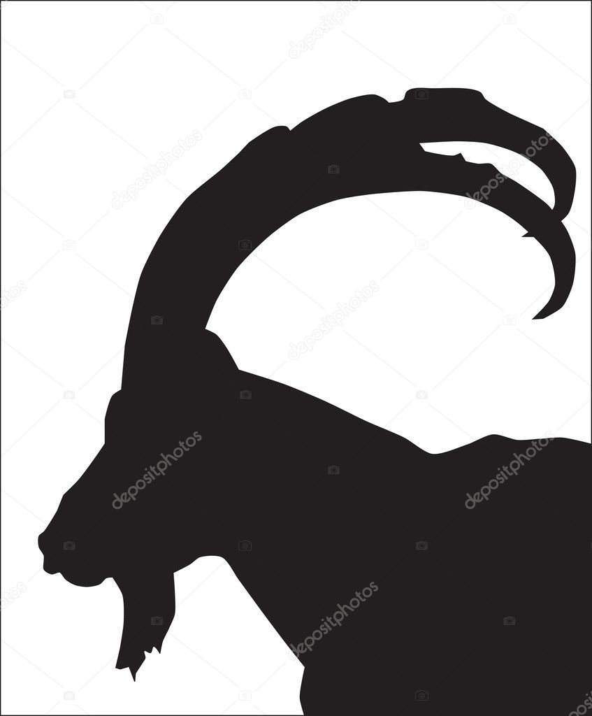 Silhouette of a mountain goat