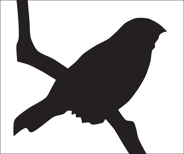 Sylwetka ptaka — Wektor stockowy