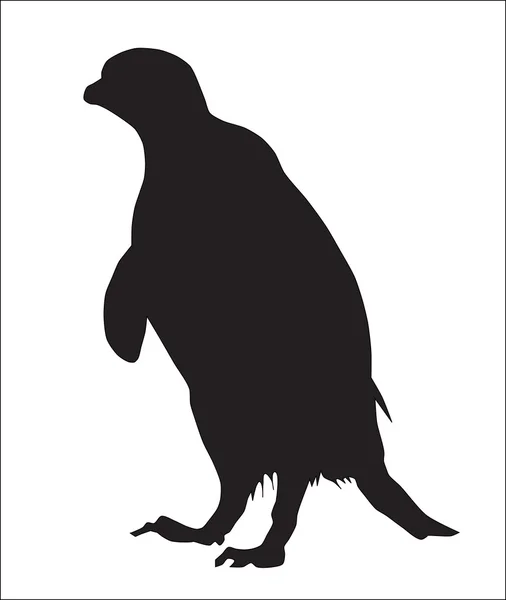 Silhuetten av en pingvin — Stock vektor