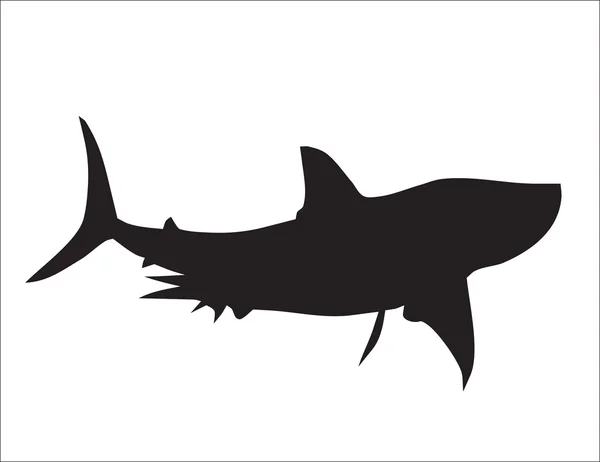 Silhouette of a shark — Stock Vector