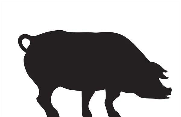 Abstraktion. en sällskapsdjur. en siluett av en gris. — Stock vektor