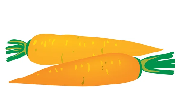 Contesto. Verdure. Due carote per il design — Vettoriale Stock