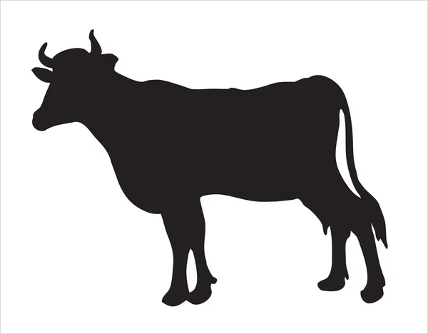 Abstracción. Una mascota. Una silueta de una vaca — Vector de stock