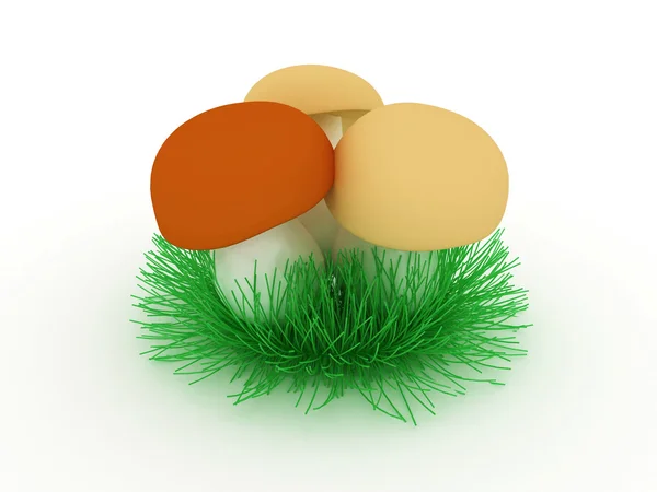 Funghi nell'erba — Foto Stock