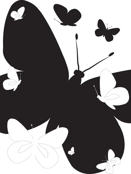 Papillon noir et blanc isolé sur fond blanc — Photo
