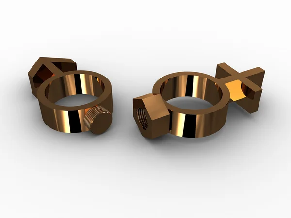 Rings with a bolt and nut and gender. 3D — Stock Photo, Image