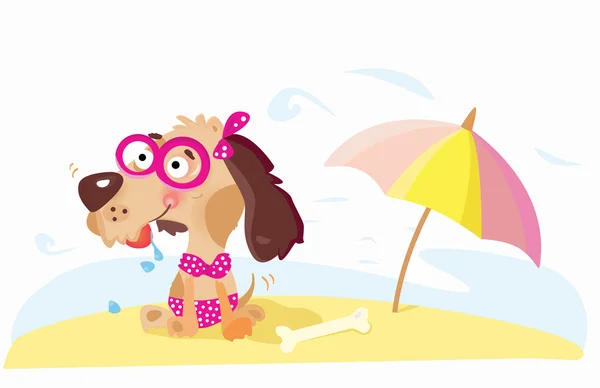 Lady Dog en la playa — Vector de stock