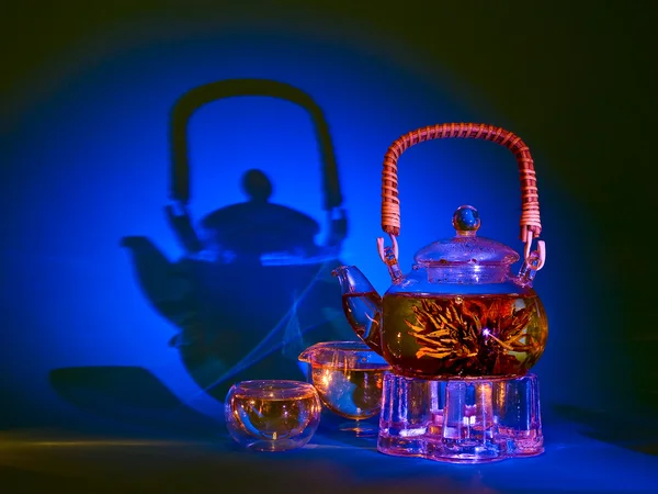 stock image Green tea in a glass pot on a blue background