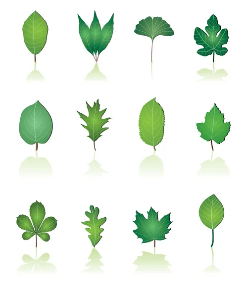 Feuilles d'arbres et icônes de la nature — Image vectorielle
