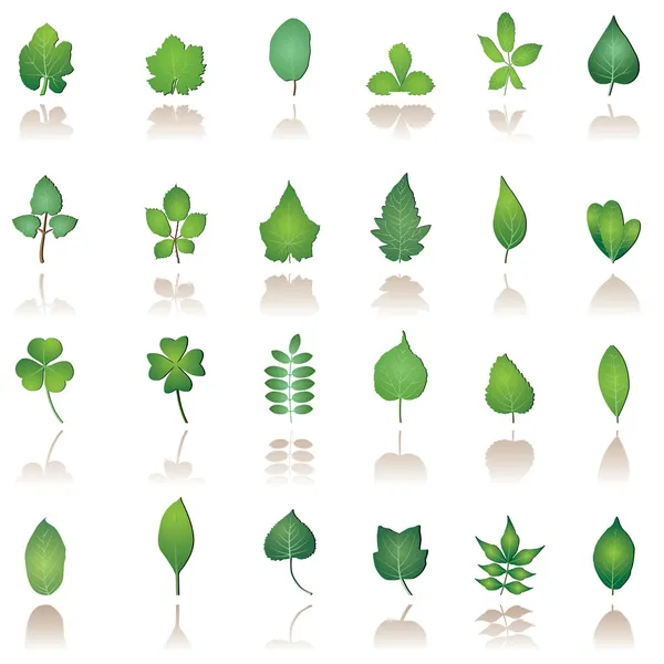 Folhas Árvores Ícones Natureza Conjunto Ícones Vetoriais —  Vetores de Stock