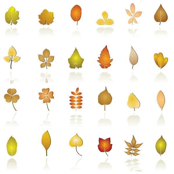 stock vector Autumn leaf background and icons