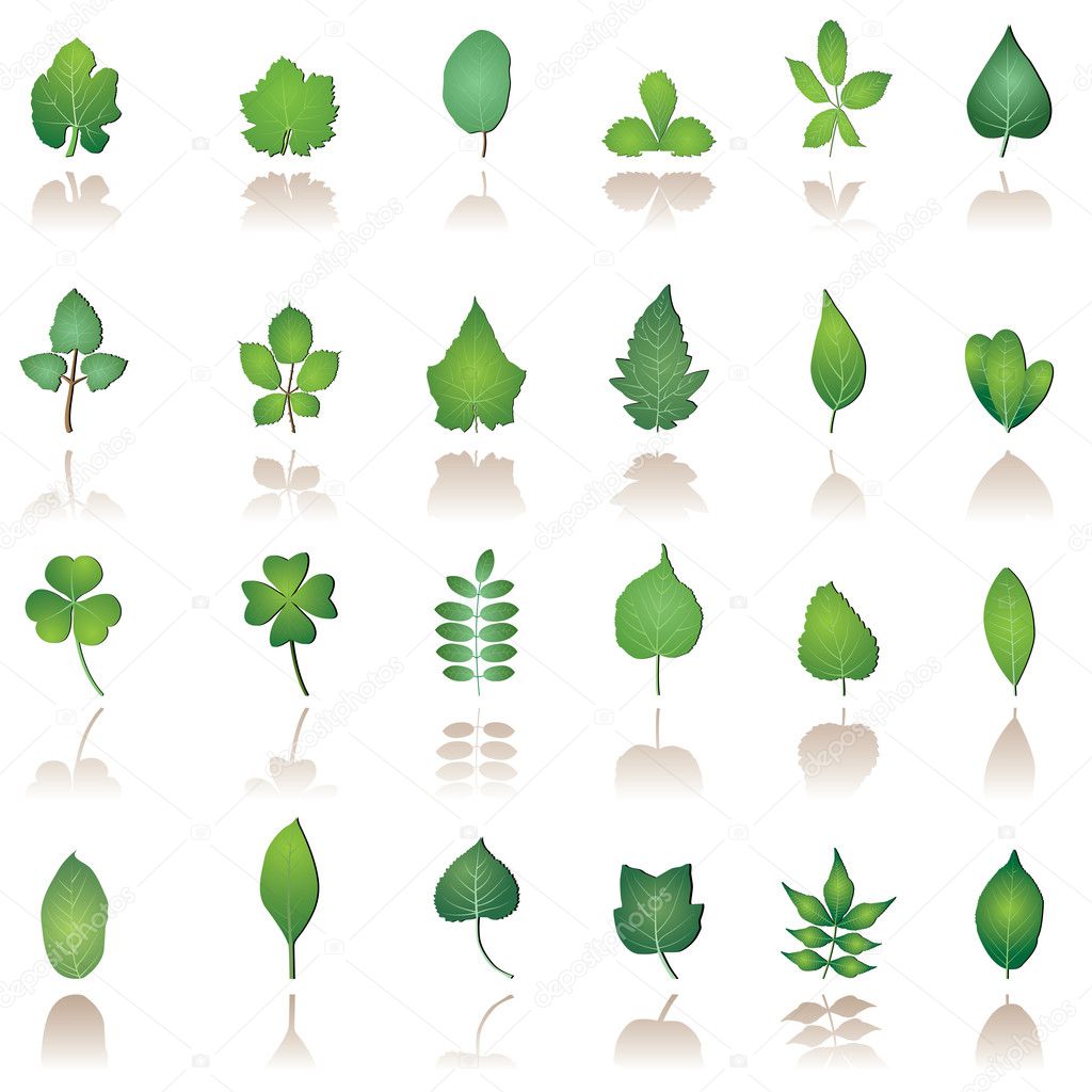 Tree leafs and nature icons - vector icon set