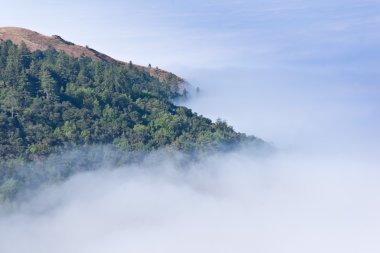 Morning fog obscures the coast of Big Sur California clipart