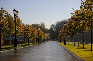 sonbahar sabah park tsaritsino, Moskova, Rusya