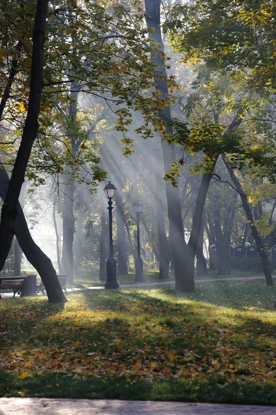 Autumn. Dawn in park Tsaritsino in Moscow. The bridge. Russia — Stock Photo, Image