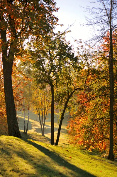 Jesień świt w tsaritsino parku. łagodny jesień, Moskwa, Federacja Rosyjska. Obraz Stockowy