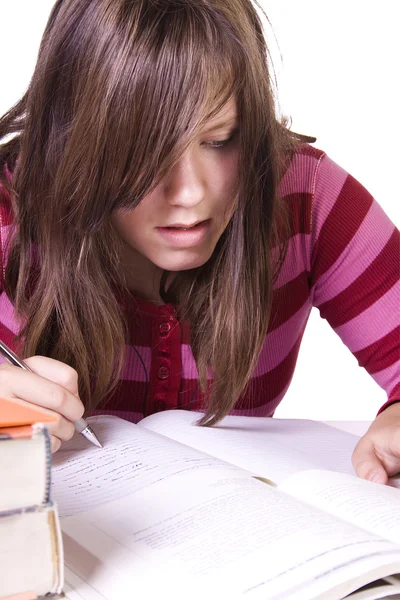 Young student studying for exams Royalty Free Stock Photos