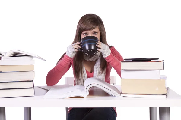 Young student studying for exams — Stock Photo, Image