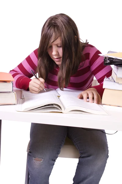 Young student studying for exams Stock Picture