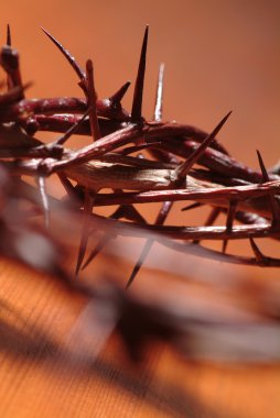 Crown of Thorns clipart