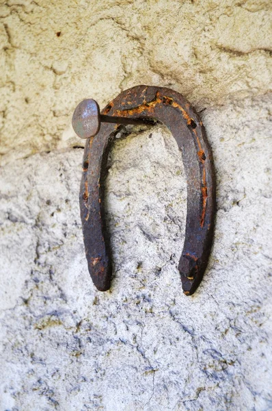 녹슨 말굽 — 스톡 사진