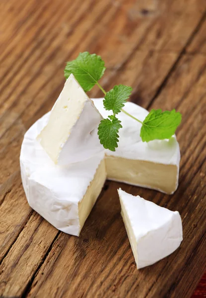 Francouzský sýr — Stock fotografie