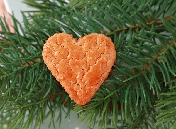 Soubor cookie ve tvaru srdce — Stock fotografie