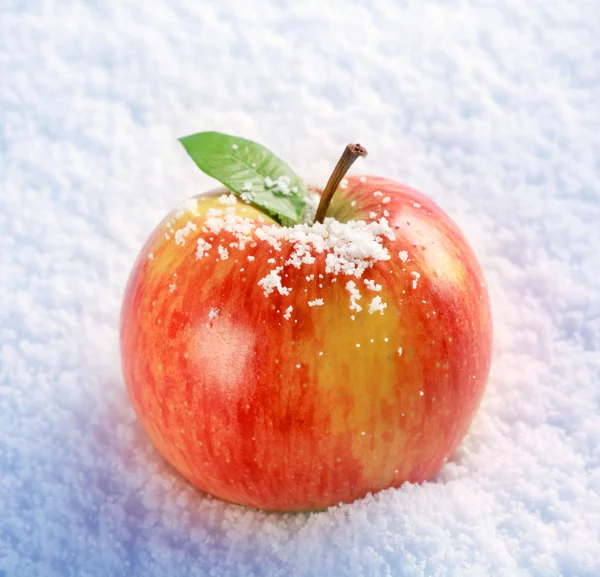Apple in snow — Stock Photo, Image