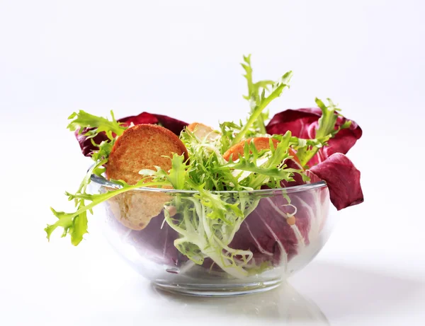 Zielona sałatka z crostini i serem — Zdjęcie stockowe