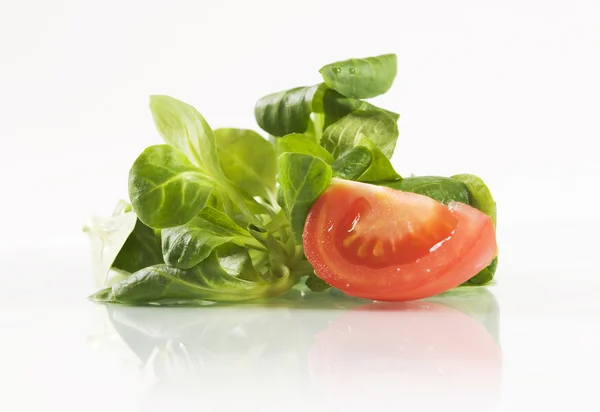 Hojas de albahaca fresca y tomate —  Fotos de Stock