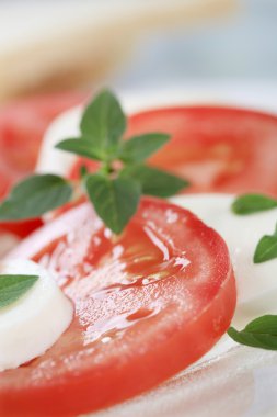 Caprese salatası