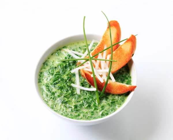 Zeleninová polévka — Stock fotografie