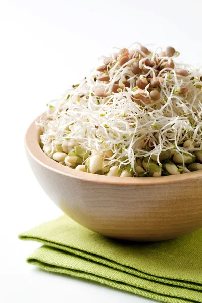 Mung bean and lentil sprouts — Stock Photo, Image